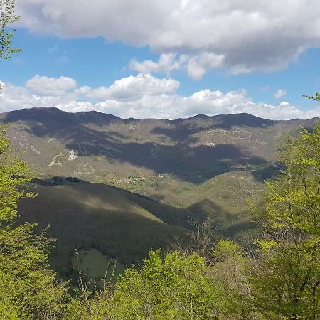 Alla Battuta Sansepolcro Zewnętrze zdjęcie