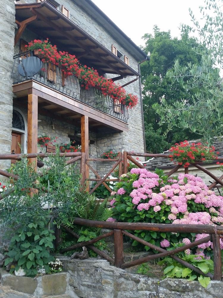 Alla Battuta Sansepolcro Zewnętrze zdjęcie
