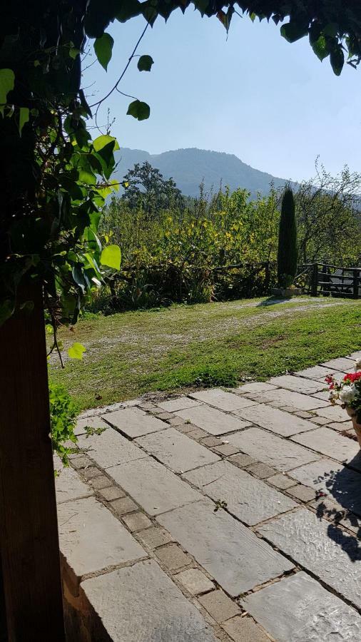 Alla Battuta Sansepolcro Zewnętrze zdjęcie