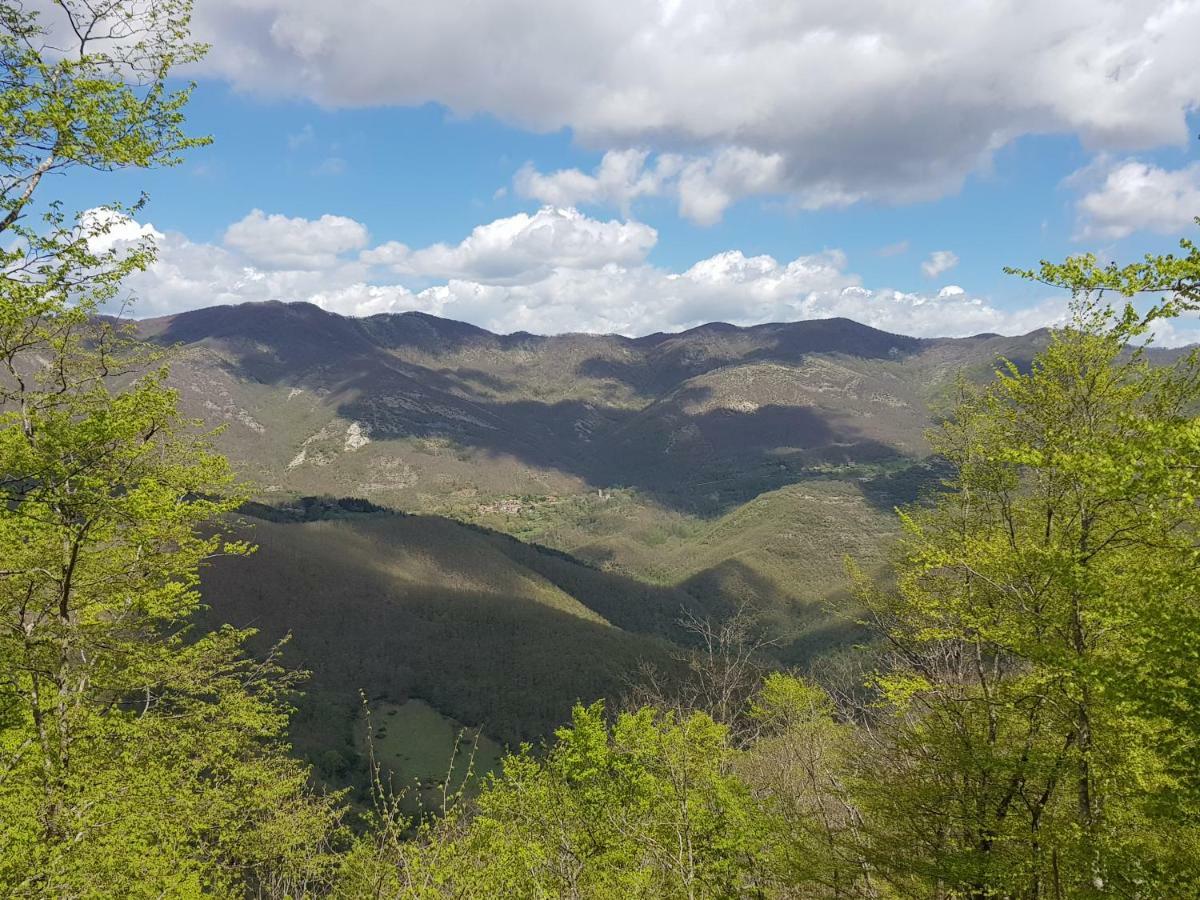 Alla Battuta Sansepolcro Zewnętrze zdjęcie