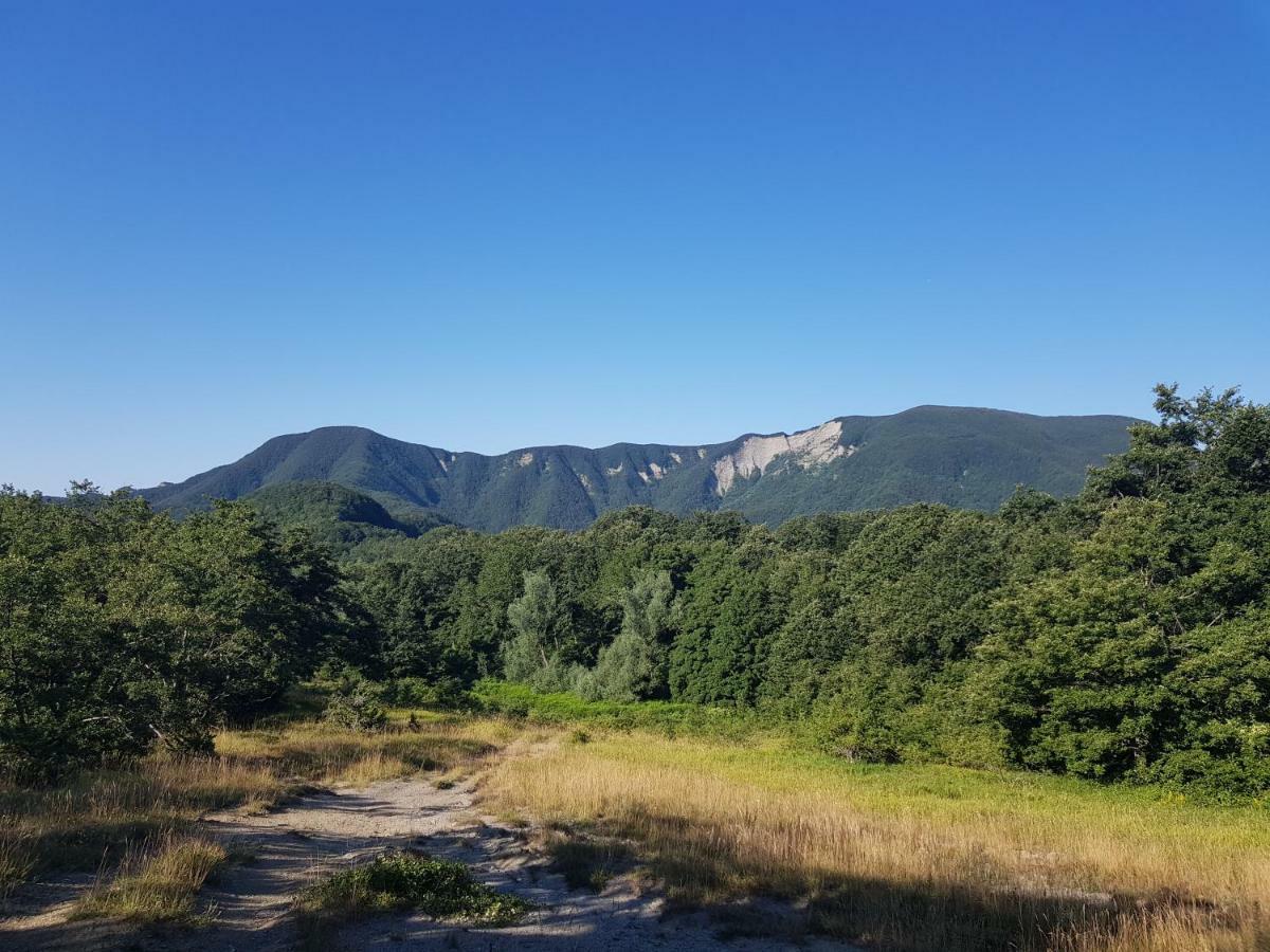 Alla Battuta Sansepolcro Zewnętrze zdjęcie
