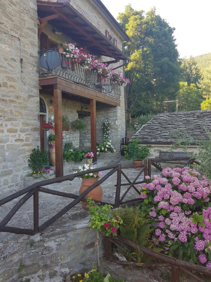 Alla Battuta Sansepolcro Zewnętrze zdjęcie