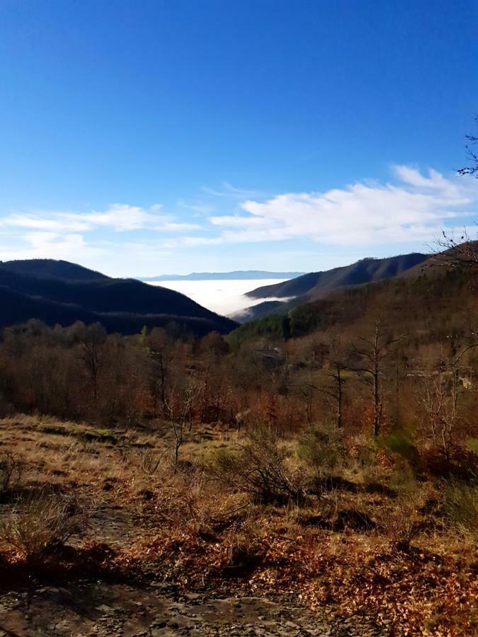 Alla Battuta Sansepolcro Zewnętrze zdjęcie